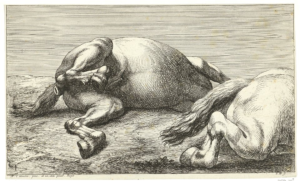 Jan van Huchtenburg, Adam Frans van der Meulen - Two horses killed in action of which seen from the left