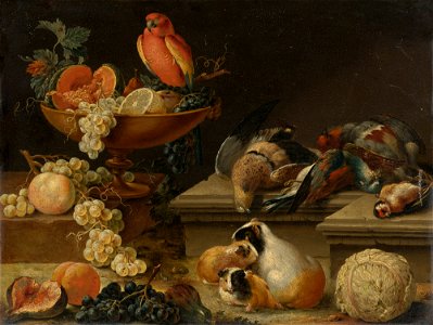 Johann Amandus Winck - Stilleben mit Papagei, Geflügel, Meerschweinchen und Obst. Free illustration for personal and commercial use.