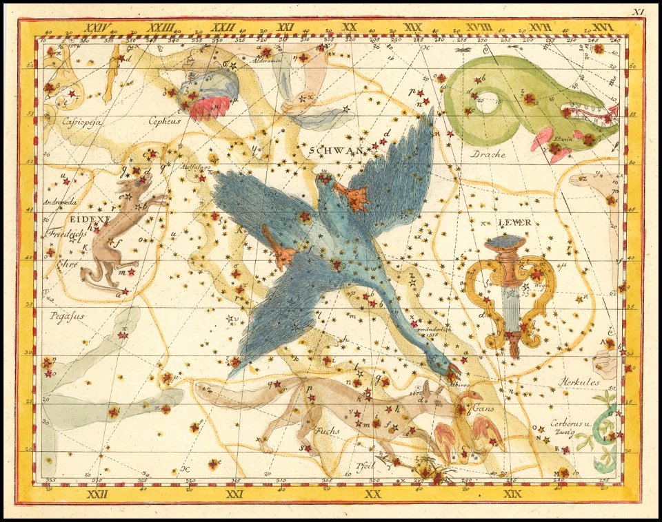 Johann Elert Bode - Cygnus, Lacerta, and Lyra