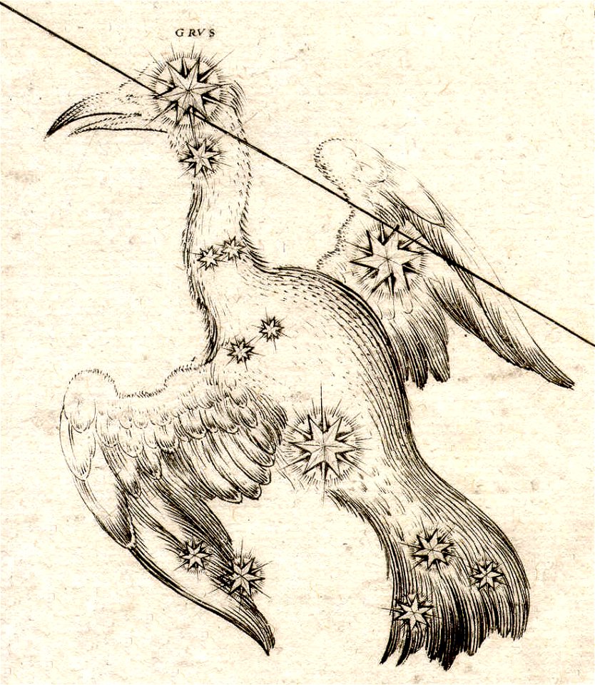 Johann Bayer - Uraniometria - Grus