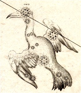 Johann Bayer - Uraniometria - Grus