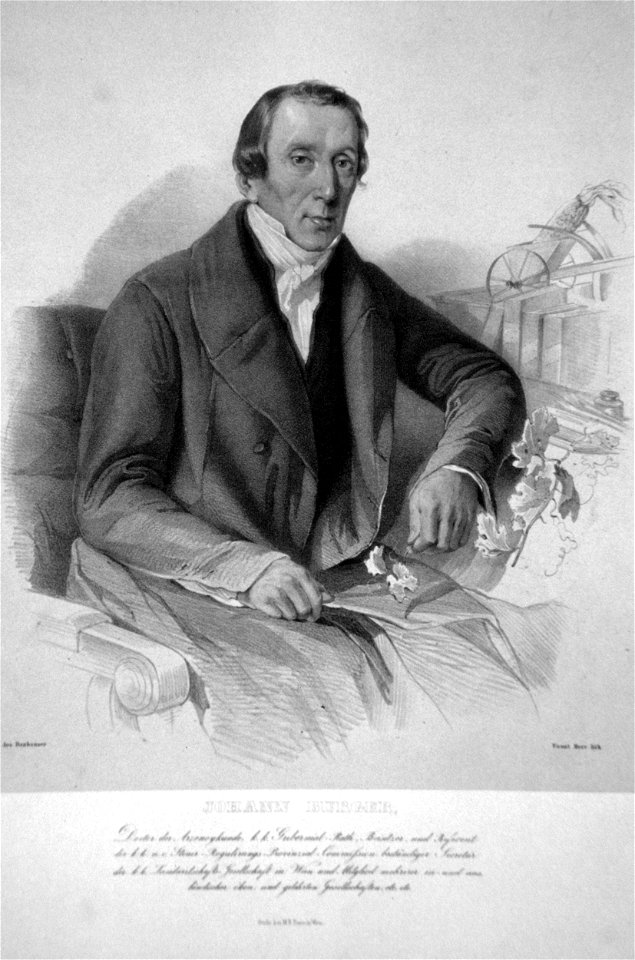 Johann Burger sen. Litho