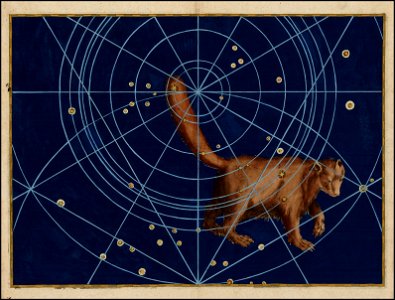 Johann Bayer - Ursa Minor