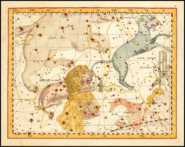 Johann Elert Bode - Linx, Luchs & Kleine Löwe