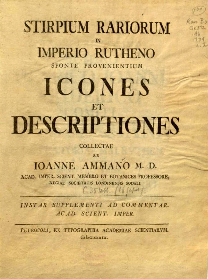 Johann Amman05