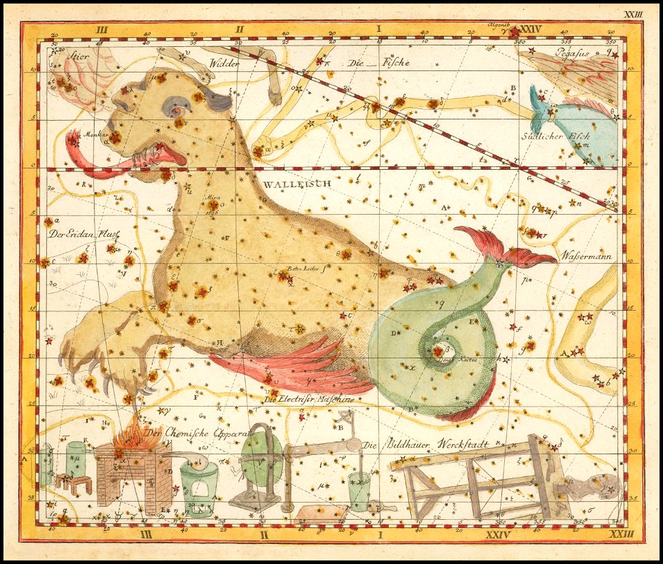Johann Elert Bode - Wallfisch