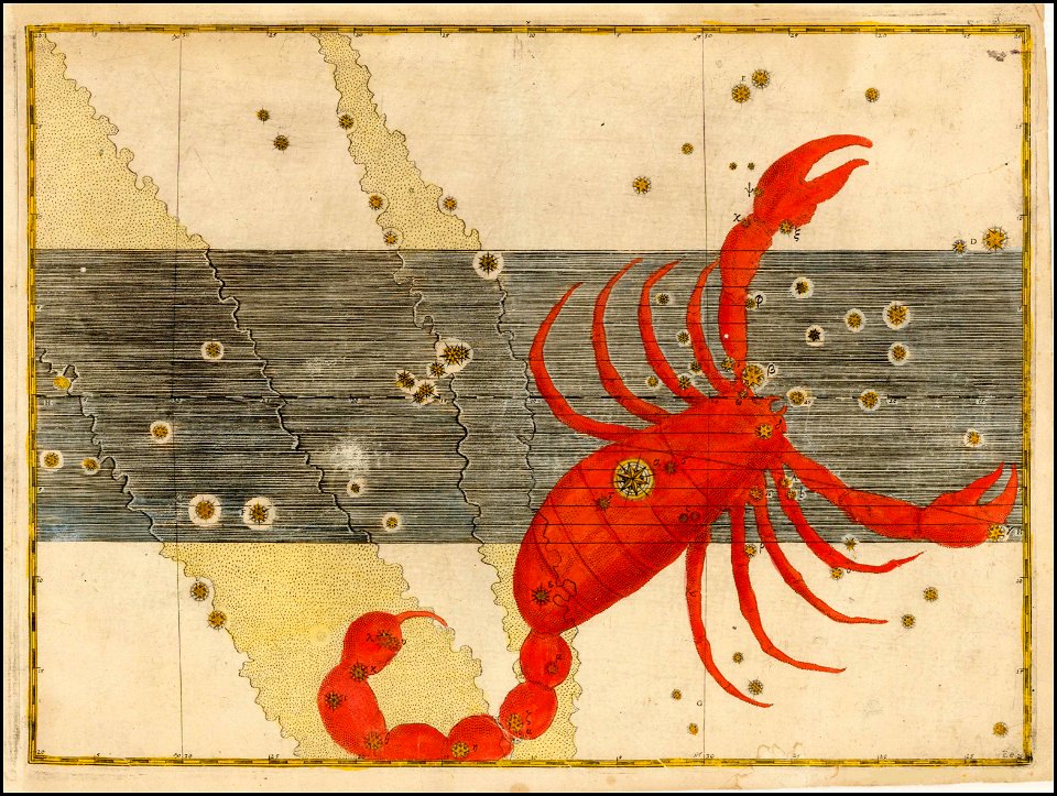 Johann Bayer -- Scorpio