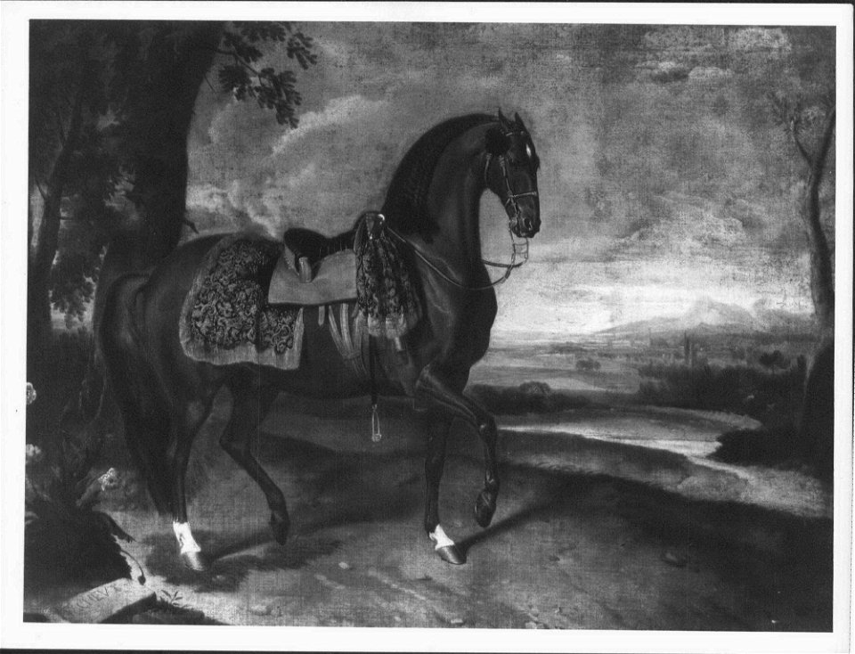 Johann Georg de Hamilton (1672-1737) - The Favourite Horse of the Emperor Ferdinand - RCIN 407529 - Royal Collection