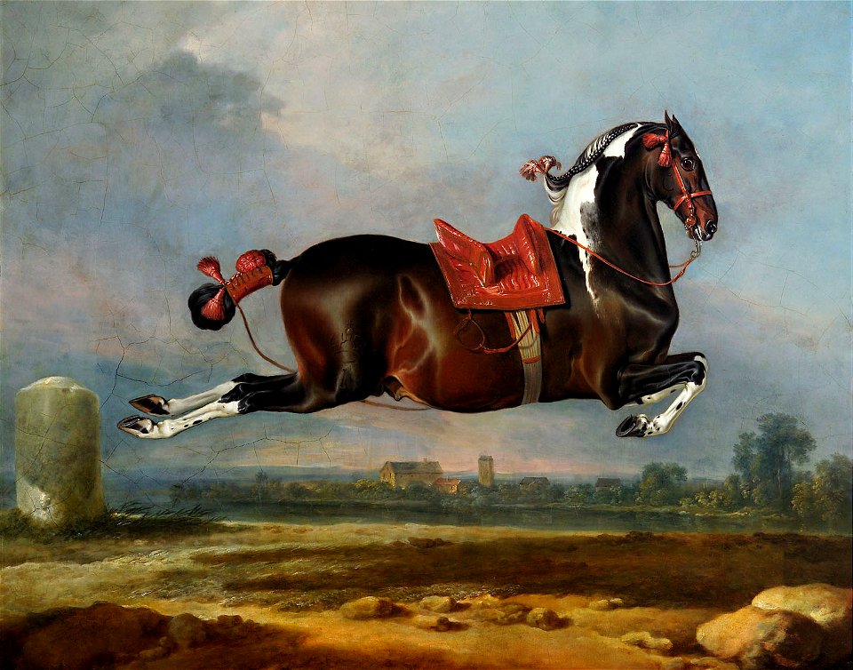 Johann Georg de Hamilton, , Kaiserliche Wagenburg Wien - Kladruber Hengst Cerbero in der Kapriole - WB Z 85 - Kunsthistorisches Museum