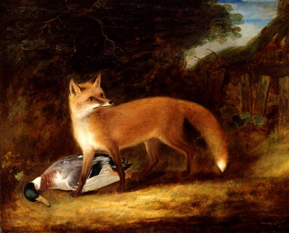 John E. Ferneley I (1782-1860) - Fox and Duck - 998396 - National Trust