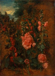 John Constable - Study of Hollyhocks - Google Art Project
