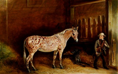 John E. Ferneley I (1782-1860) - A Strawberry Roan Mule and Two Lurchers in a Stable, and a Stable Lad - 290401 - National Trust