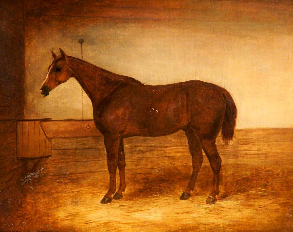 John E. Ferneley I (1782-1860) - A Chestnut Hunter in a Stable - 499933 - National Trust