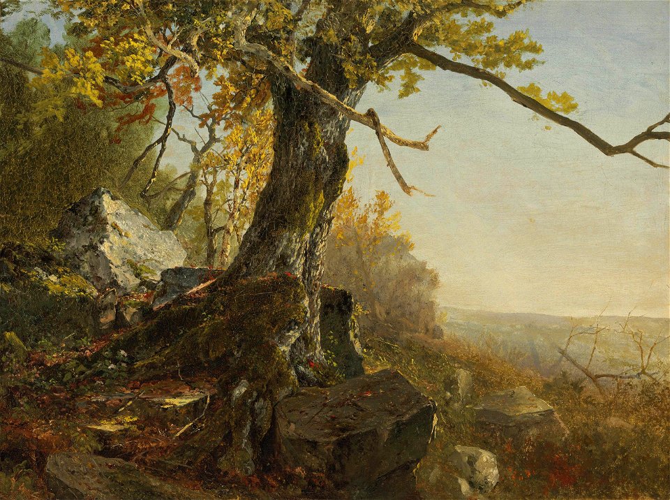 John Frederick Kensett - Tree in a Landscape