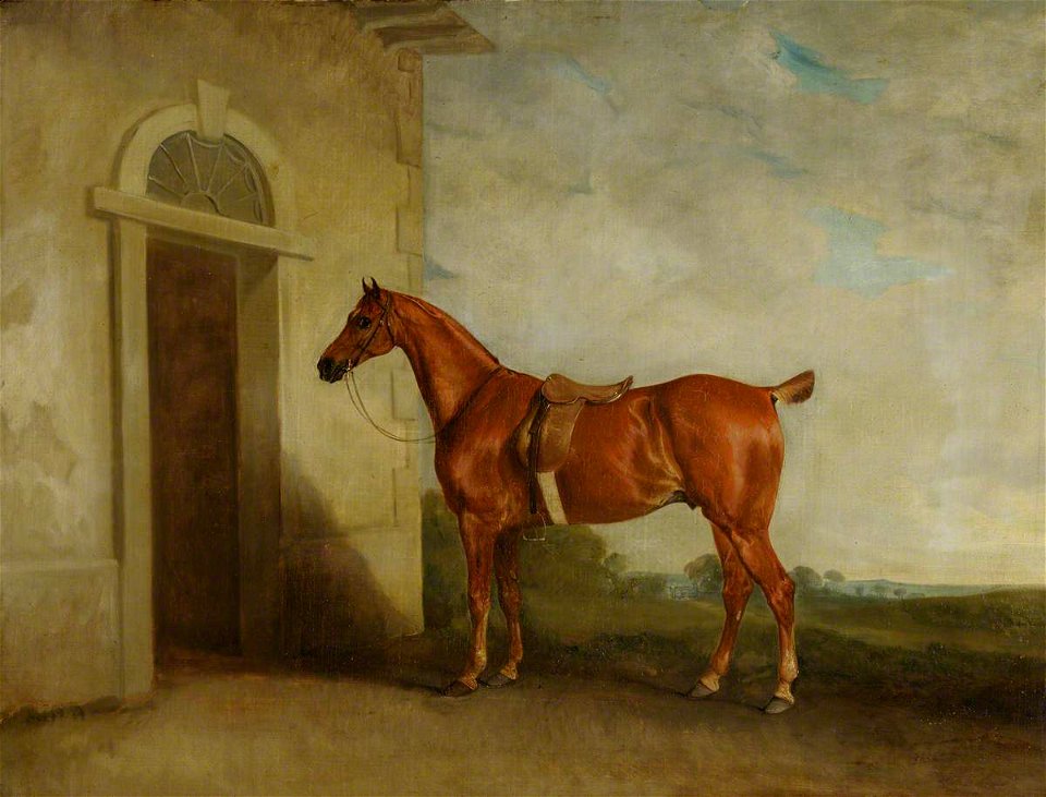 John E. Ferneley I (1782-1860) - Chestnut Hunter before a Stable - 926843 - National Trust