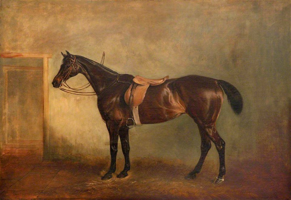 John Ferneley II (1814-1862) - A Bay Hunter - 1441519 - National Trust
