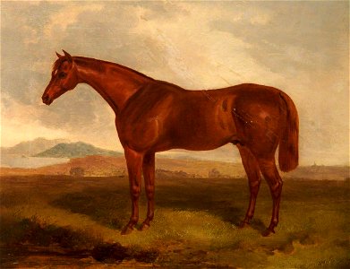 John E. Ferneley I (1782-1860) - A Chestnut Hunter in a Field - 499934 - National Trust