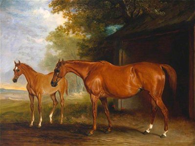 John E. Ferneley I (1782-1860) - Defiance, a Brood Mare, with Reveller, a Foal - T03426 - Tate. Free illustration for personal and commercial use.