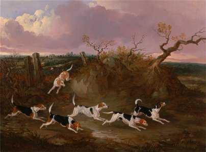 John Dalby - Beagles in Full Cry - Google Art Project. Free illustration for personal and commercial use.