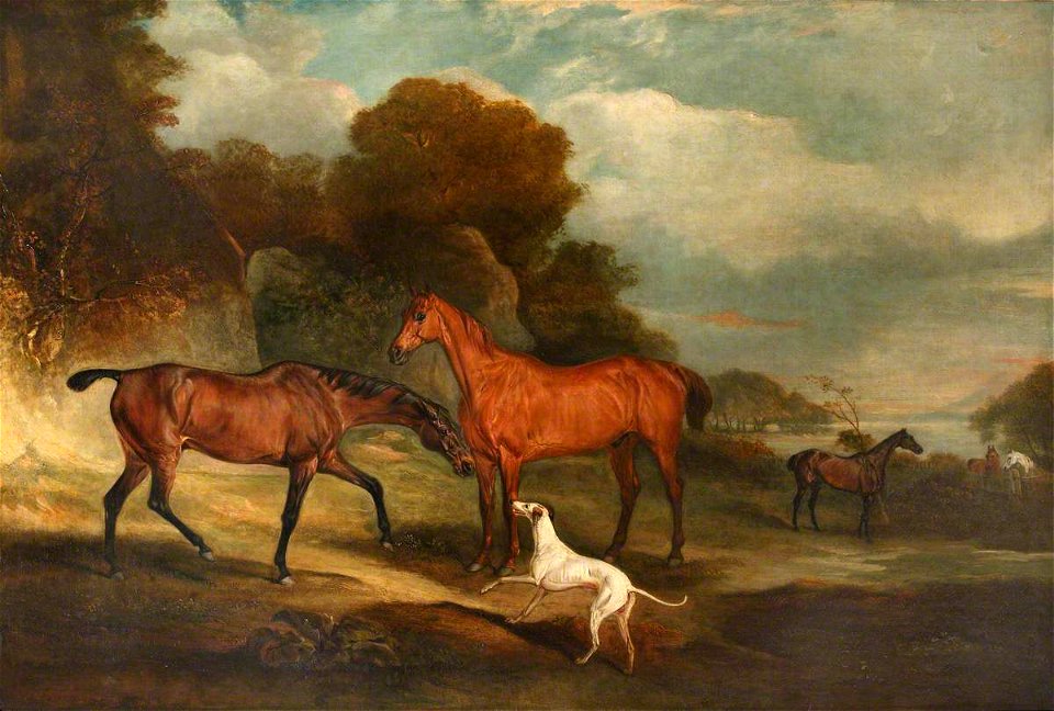 John Ferneley II (1814-1862) - Two Racehorses, Called 'The Sheriff' and 'Bensh' - 1441522 - National Trust