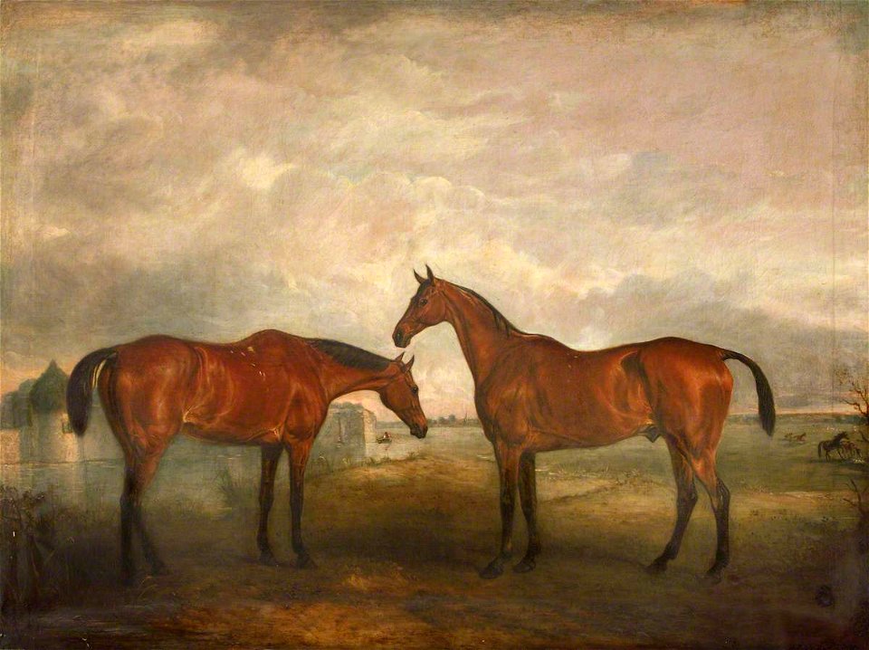 John Ferneley II (1814-1862) - Two Racehorses, Called 'Sambo' and 'Pilot' - 1441490 - National Trust