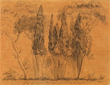 John Flaxman - Trees in the Villa Negroni Planted by M. Angelo - Google Art Project