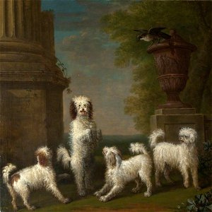 John Wootton (c.1682-1764) - Dancing Dogs, 'Lusette', 'Madore', 'Rosette' and 'Moucheby' - 584409 - National Trust