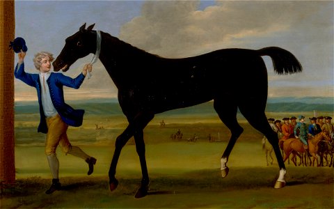 John Wootton - The Duke of Rutland's Bonny Black - Google Art Project