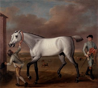 John Wootton - The Duke of Hamilton's Grey Racehorse, 'Victorious,' at Newmarket - Google Art Project. Free illustration for personal and commercial use.