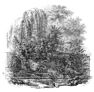 Jolimont - Les mausolés français - 10