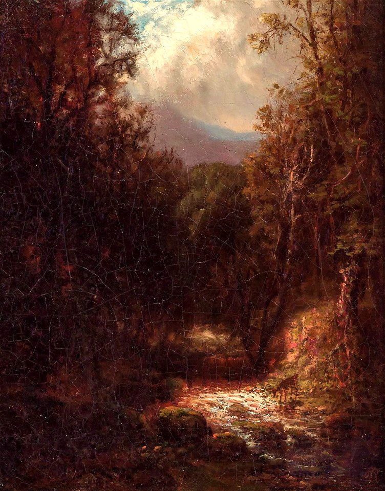 Deer in a Forest Clearing by David Johnson