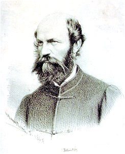 Marastoni Portrait of Mór Jókai 1867. Free illustration for personal and commercial use.
