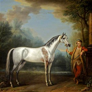 John Wootton (c.1682-1764) - The Bloody-Shouldered Arabian - 732306 - National Trust