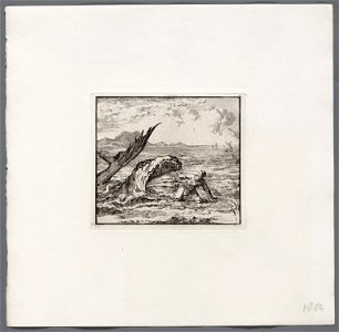 Jona aan de kust uitgespuwd, objectnr A 48015
