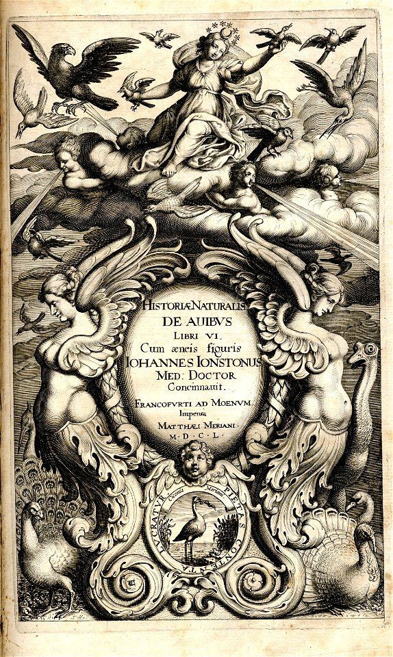 Johnston Titelblatt De Avibus