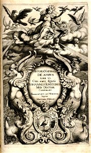 Johnston Titelblatt De Avibus