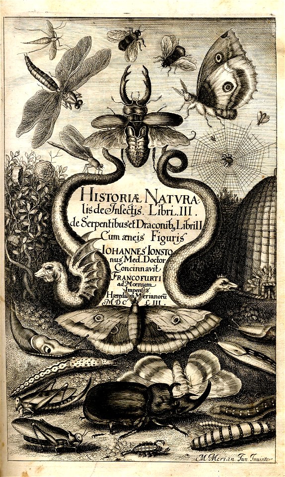 Johnston Titelblatt De Insectis