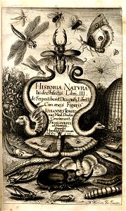 Johnston Titelblatt De Insectis