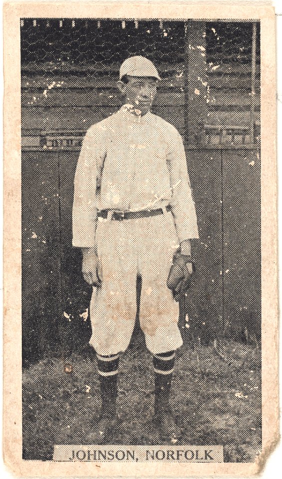 Johnson, Norfolk Team, baseball card portrait LCCN2007683812