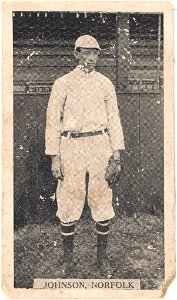 Johnson, Norfolk Team, baseball card portrait LCCN2007683812