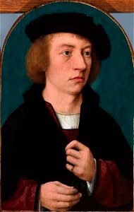 Joos van Cleve - Portret van een jonge man - 75.18.7 - Fine Arts Museums of San Francisco
