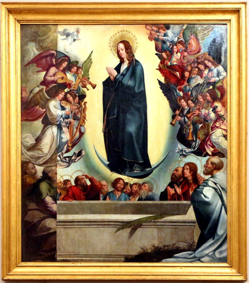 Jorge alfonso, retablo della madre di dio, 1515, 02 assunzione della vergine