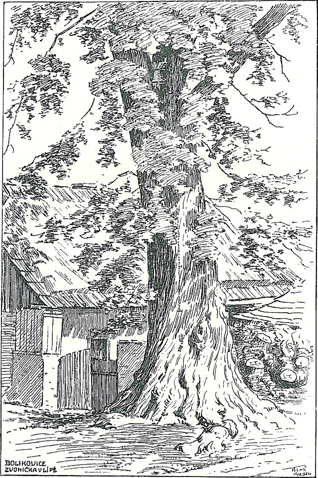 Josef Brož (1866-1949) - Bolikovice, zvonička v lípě