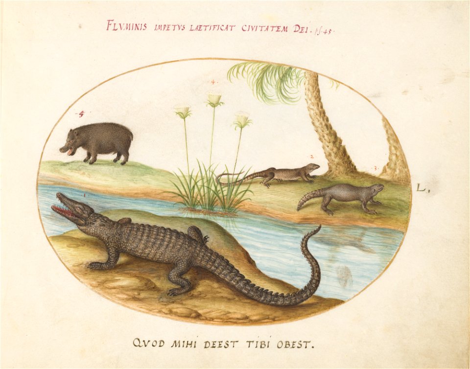Joris Hoefnagel - Animalia Qvadrvpedia et Reptilia (Terra) Plate L