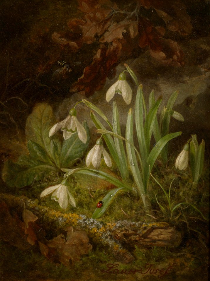 Josef Lauer Waldbodenstück mit Schneeglöckchen
