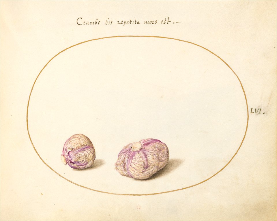 Joris Hoefnagel - Animalia Qvadrvpedia et Reptilia (Terra) Plate LVI