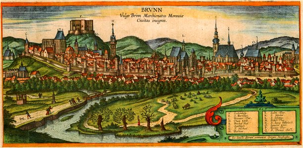 Joris Hoefnagel - Brno