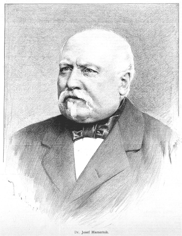 Josef Hamernik 1887 Vilimek