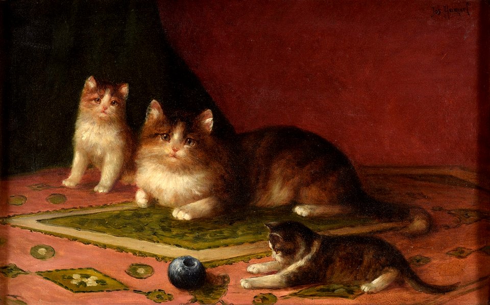 Josef Heimerl Katzenfamilie