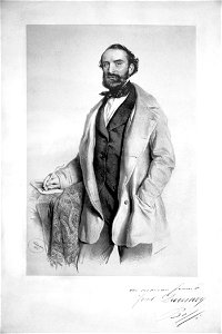 Josef Bossi Litho